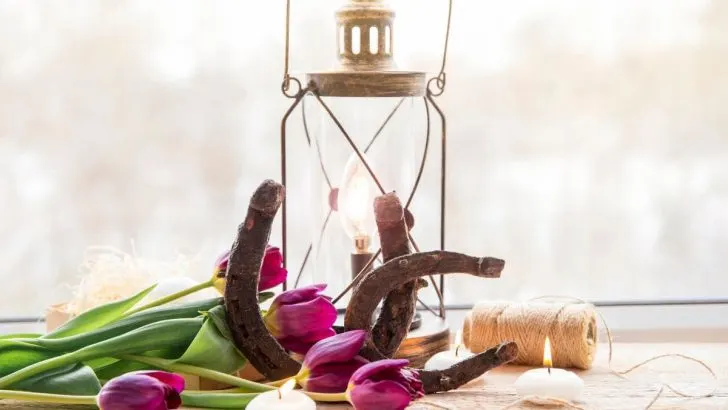 Glückssymbol: Diese 7 Dinge Werden Ihnen Bestimmt Glück Bringen!