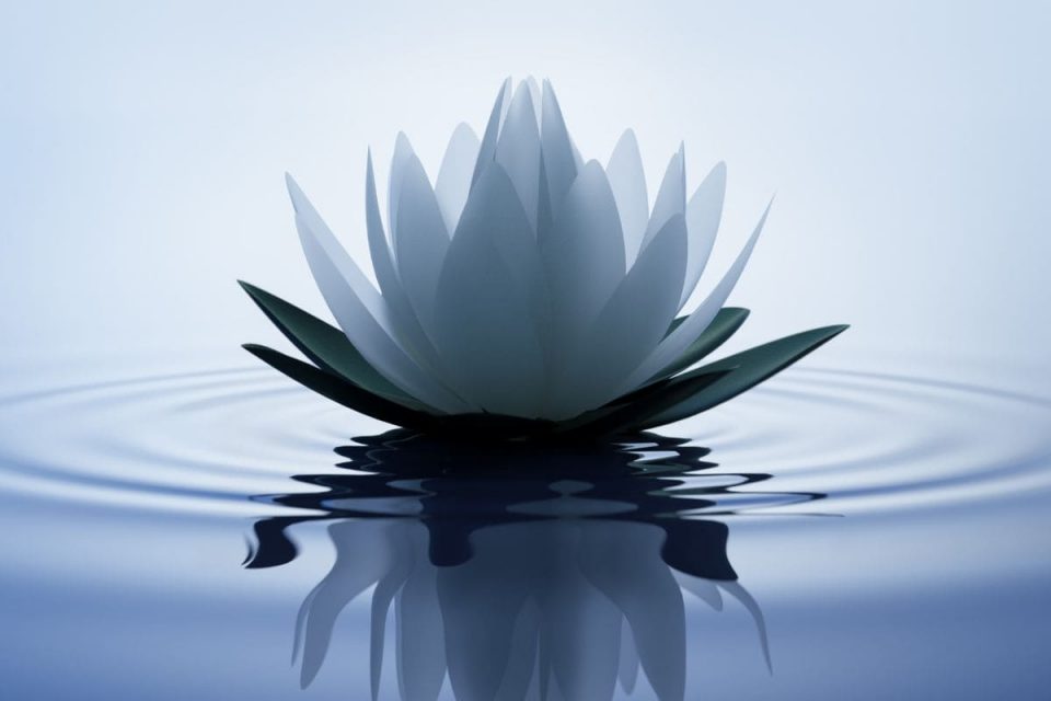 Buddhismus Symbol Buddhistische Symbole Mit Bedeutung! Sinnopedia