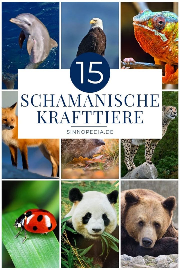 15 Schamanische Krafttiere Und Ihre Bedeutung Im Überblick! Sinnopedia