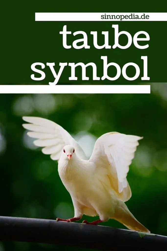 Taube Symbol pin