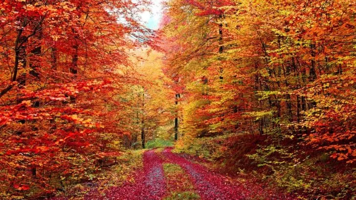 Geburtsstein Oktober: Der Glücksstein Für Körper Und Seele!