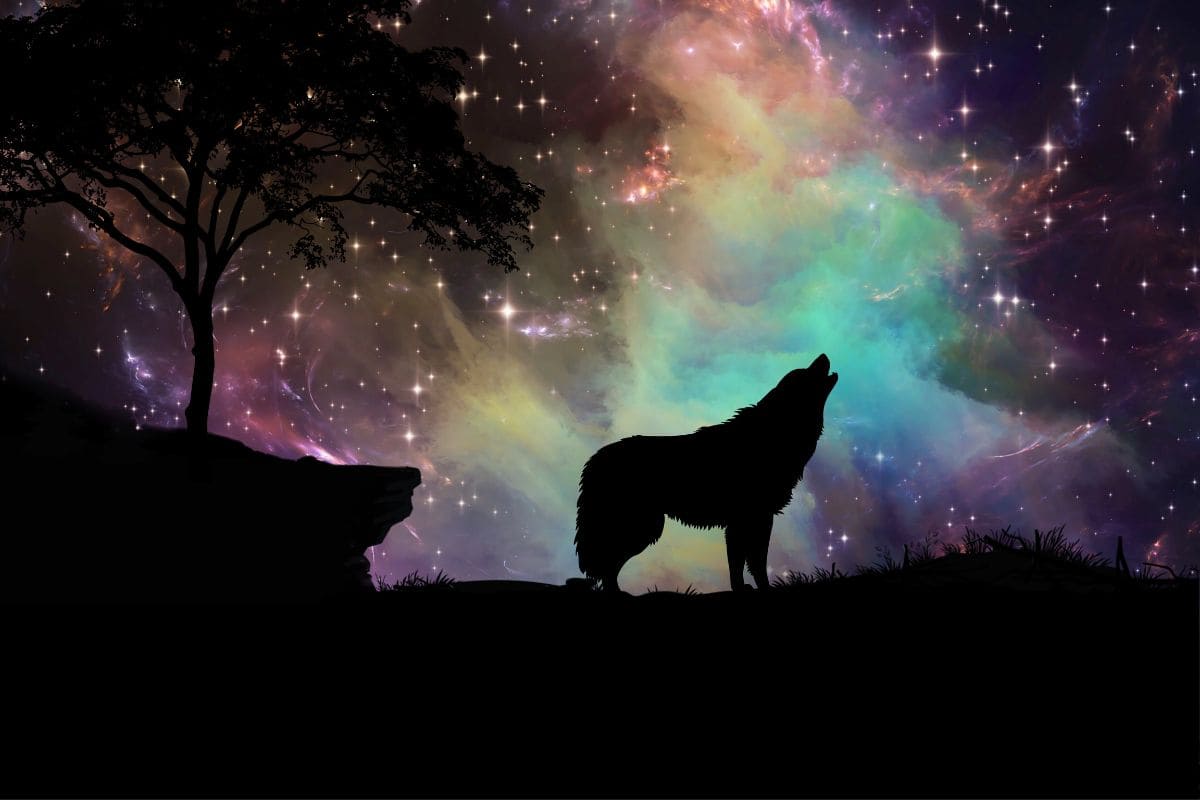 Krafttier-Wolf_-Das-Mystische-Seelentier-Und-Seine-Bedeutung