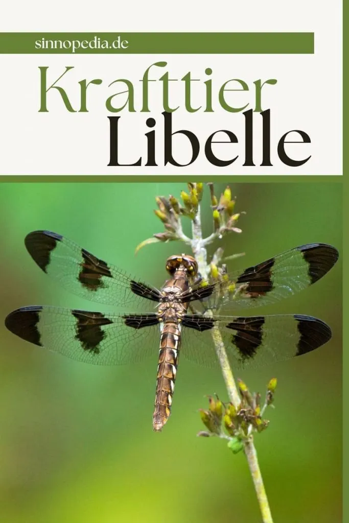 Krafttier Libelle pin