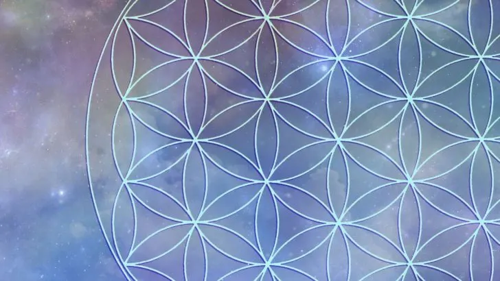 Lebensblume: Welche Wahrheit Und Wirkung Steckt Hinter Lebensblume?