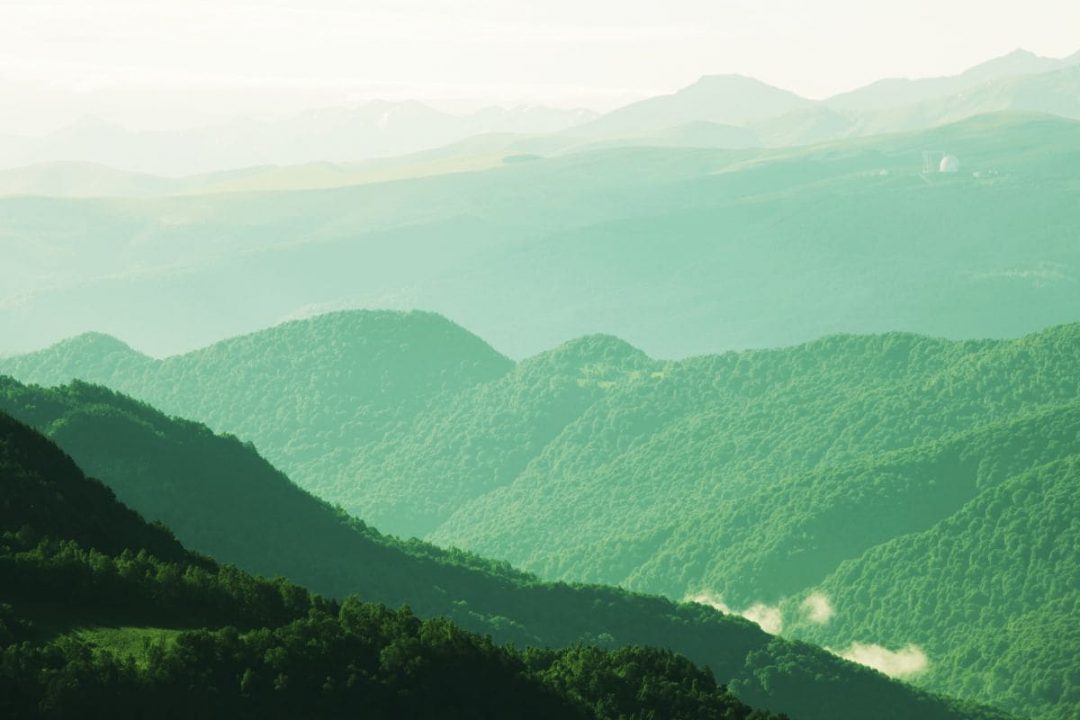 Grün Bedeutung: Erklärung Der Vielfältigen Bedeutungen Dieser Farbe ...