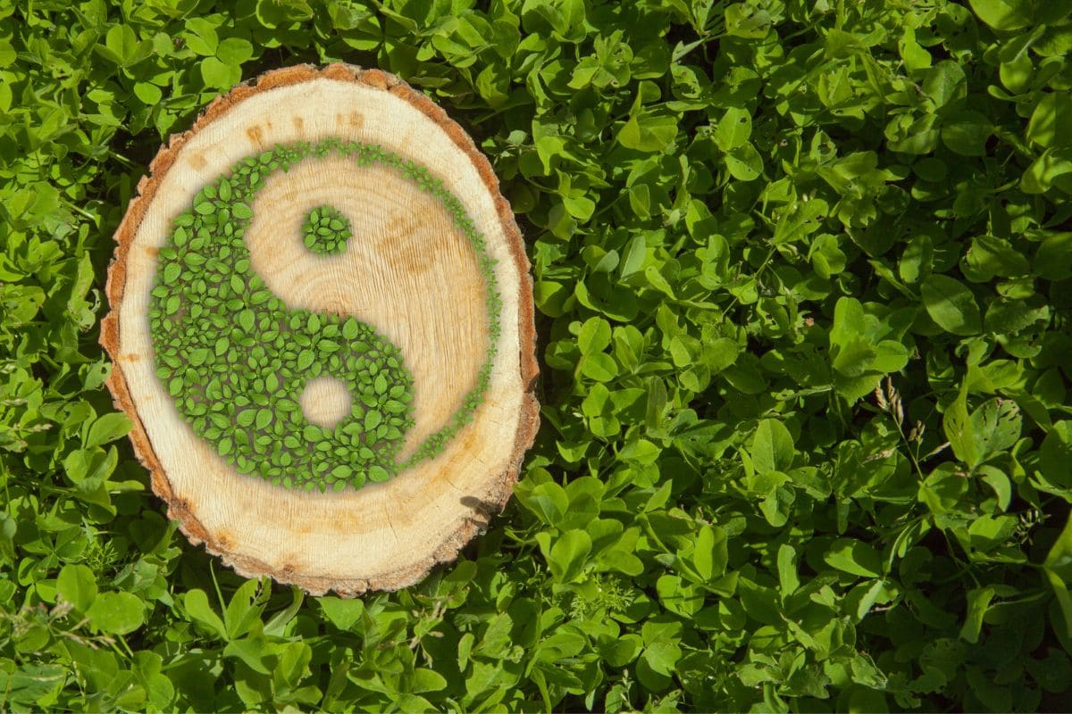 Yin Yang Bedeutung Liebe & Herstellung Des Gleichgewichts - Sinnopedia
