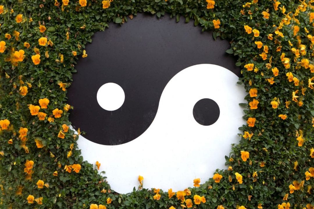 Yin Yang Bedeutung Liebe & Herstellung Des Gleichgewichts - Sinnopedia
