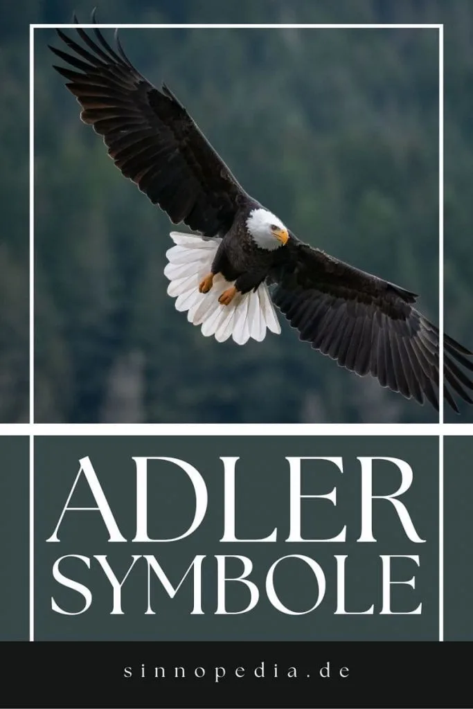 Adler Symbole pin