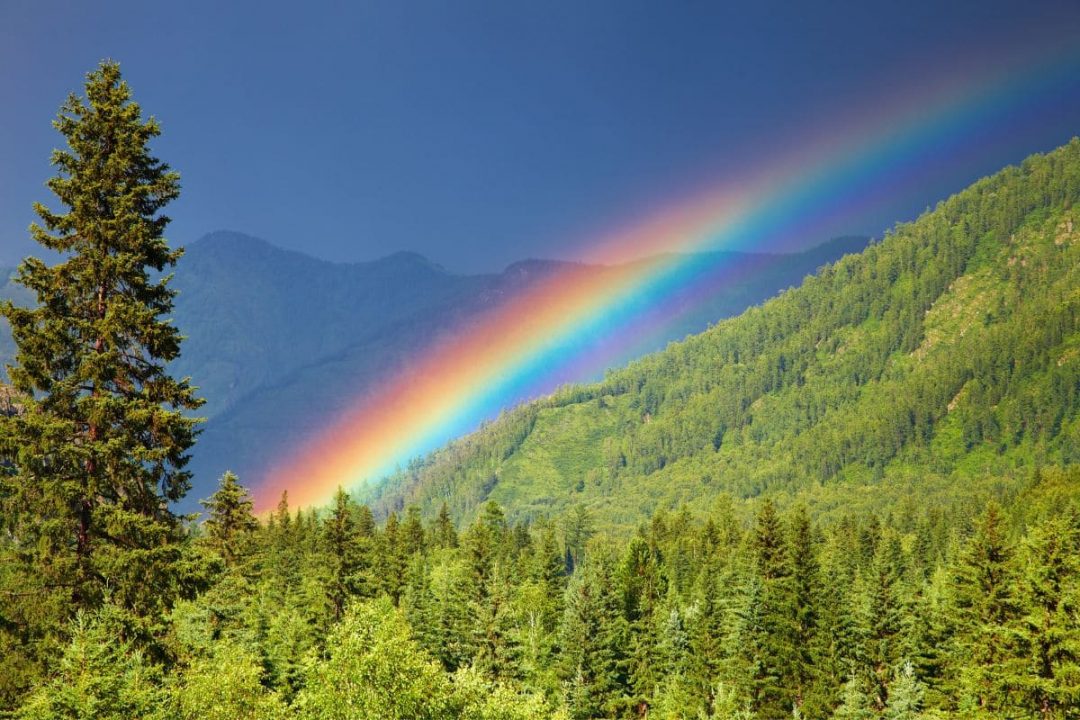 Regenbogen Bedeutung: Welche Nachricht Verbirgt Sich Dahinter? - Sinnopedia