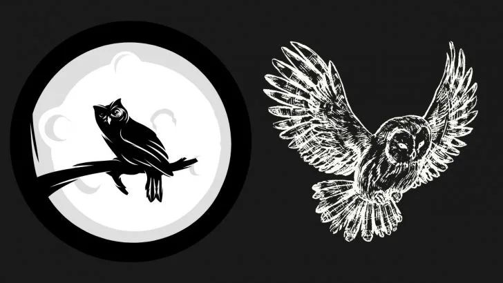 Krafttier Eule: Entdecke die symbolische Bedeutung & ihre tiefe Weisheit