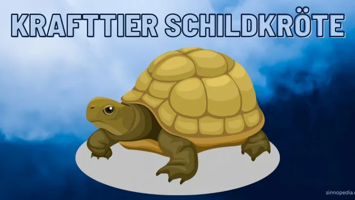 Krafttier Schildkröte: Spirituelle Bedeutung und die Weisheit der ewigen Seele