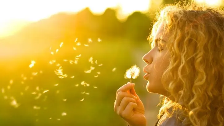 Pusteblume Bedeutung: Einblicke in ihre spirituelle und symbolische Welt